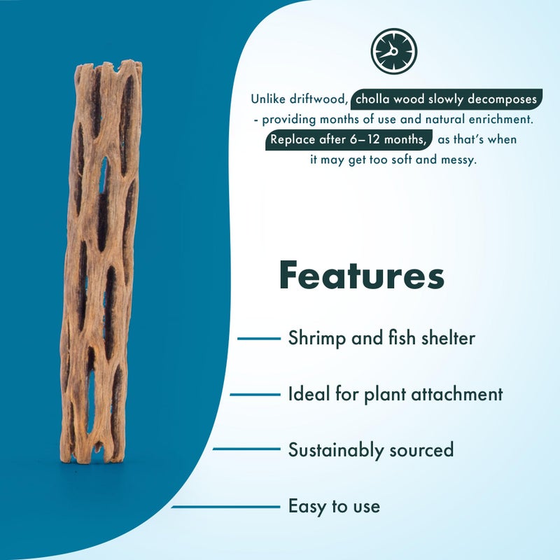 SubstrateSource Natural Cholla Wood - Driftwood for Aquariums, Air Plant Base, Hermit Crab and Freshwater Shrimp Hideout, Fish Tank Decoration, Chinchilla Chews, Reptile Habitat Wood - 6 Inch, 2pc - Image 3
